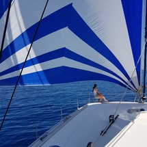 Lagoon 500