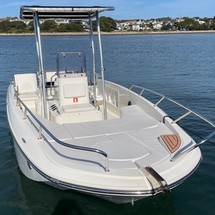 Bayliner Element CC7