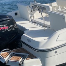 Bayliner Element CC7