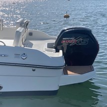 Bayliner Element CC7