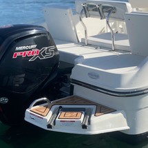 Bayliner Element CC7