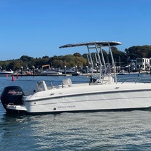 Bayliner Element CC7