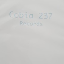 Cobia 217 center console