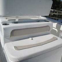 Sea Ray hunt ultra 211