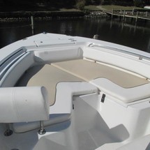 Sea Ray hunt ultra 211