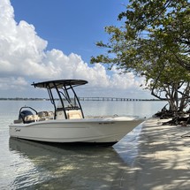 Scout Boats 195 Sportfish