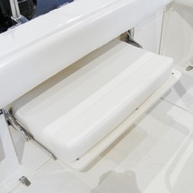 Boston Whaler 250 Outrage