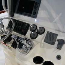 Boston Whaler 250 Outrage