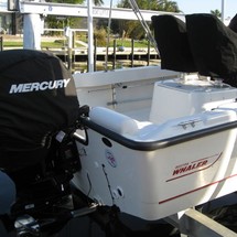 Boston Whaler 190 Outrage