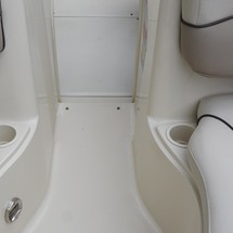 Sea ray 200 select