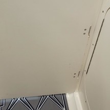 Chaparral 243 Vortex VRX