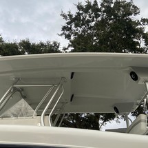 Renaissance 31