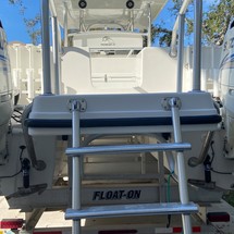 Renaissance 31