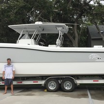 Renaissance 31
