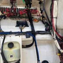 Renaissance 31