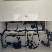 Renaissance 31