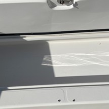 Renaissance 31