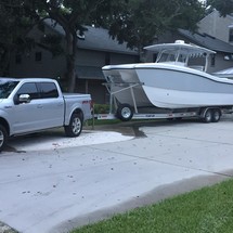 Renaissance 31