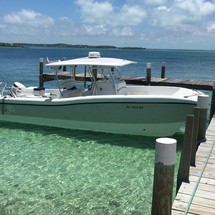 Renaissance 31