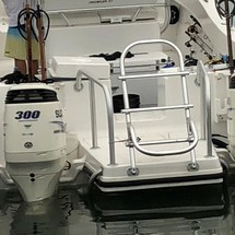 Renaissance 31