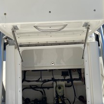 Renaissance 31