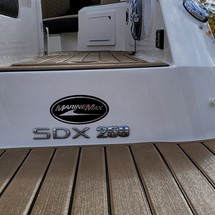 Sea Ray 250 SDX