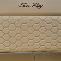 Sea Ray 250 SDX