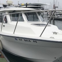 Skagit orca 27