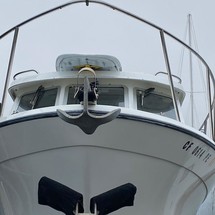 Skagit orca 27