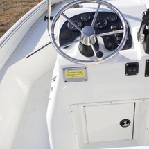 Sea Ray pro 208 bay