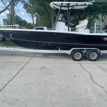 Sea Ray hunt bx22 br