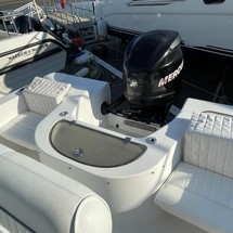 Angler Pro Boats 2900 center console