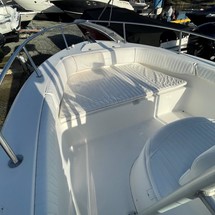 Angler Pro Boats 2900 center console