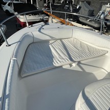Angler Pro Boats 2900 center console