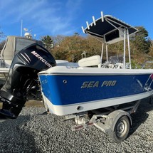 Angler Pro Boats 2900 center console