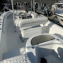 Angler Pro Boats 2900 center console