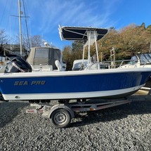 Angler Pro Boats 2900 center console