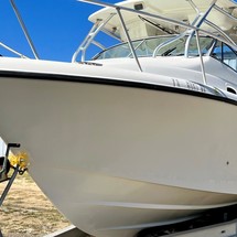 Mako 284 CC