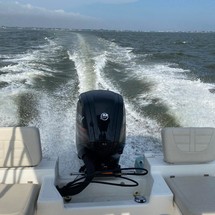 Boston Whaler 170 Montauk