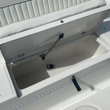 Sea Ray pro 208 bay