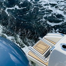 Scout Boats 195 Sportfish