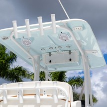 Sea Ray hunt bx22 br