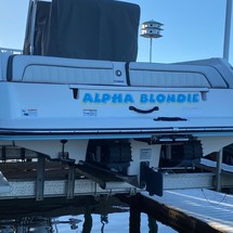 Yamaha 210 FSH Sport