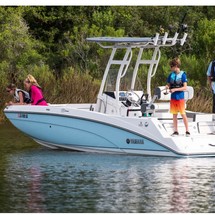 Yamaha 210 FSH Sport