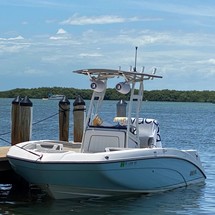 Yamaha 210 FSH Sport