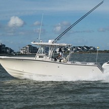 Grady white 306 bimini cc