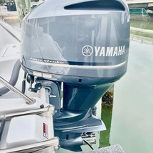 Sea Ray hunt ultra 211