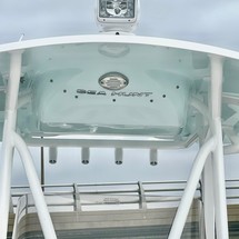 Sea Ray hunt ultra 211