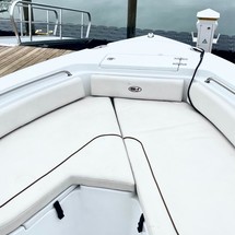 Sea Ray hunt ultra 211