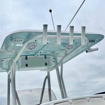 Sea Ray hunt ultra 211